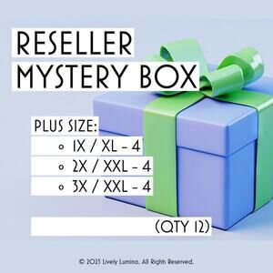$𝟕𝟐 - Plus Size Reseller Mystery Box
